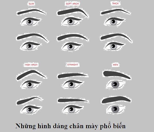 dang-may.jfif