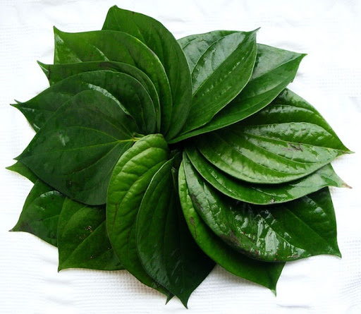 la-trau-khong.jpg