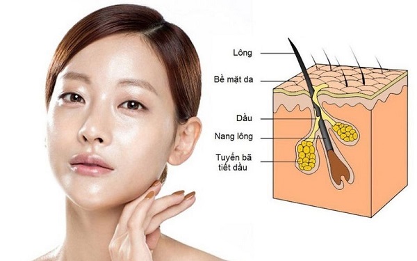 nhung-nguyen-nhan-gay-ra-va-cach-tri-mun-dau-den-tai-nha-hieu-qua-nhat2.jpg